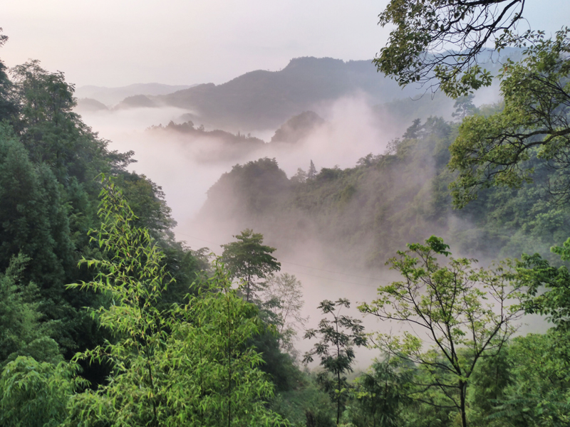 8040威尼斯(中国)有限公司官网