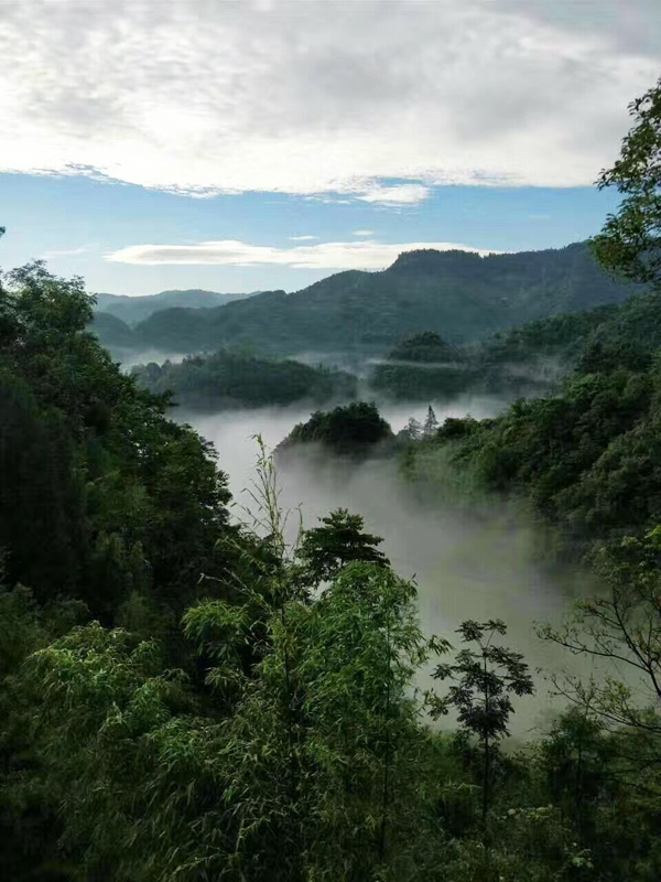 8040威尼斯(中国)有限公司官网