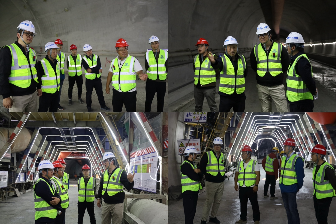 微信图片_20251226175909_147_75 (2).jpg